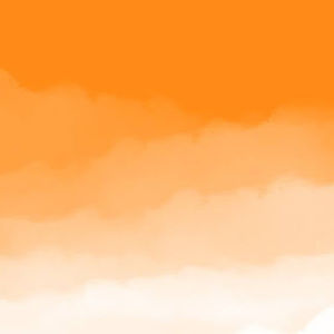 Meet your Posher, Ivy